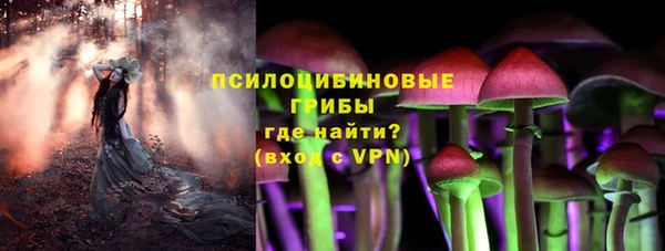 a pvp Абинск